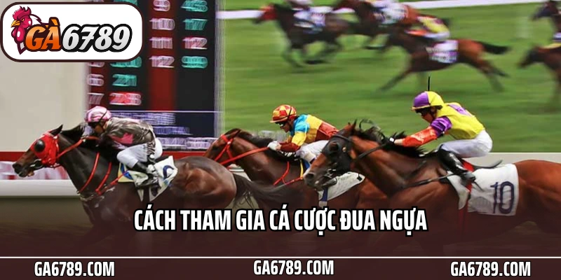 Đua ngựa Ga6789 - Tăng Tốc Trải Nghiệm Cá Cược Thể Thao 5 Cách tham gia cá cược đua ngựa